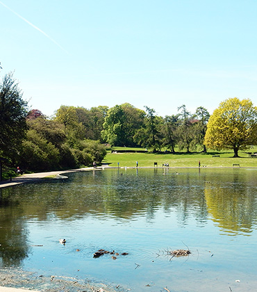 Verulamium Lake & Park