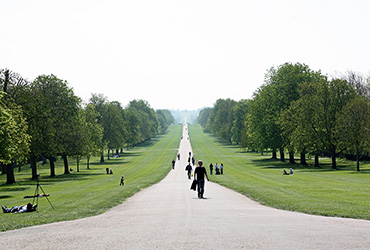 Windsor Great Park