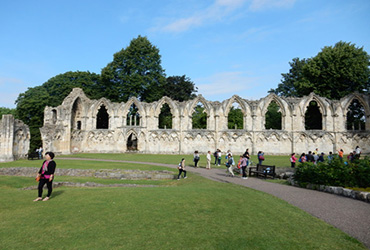 Museum Gardens